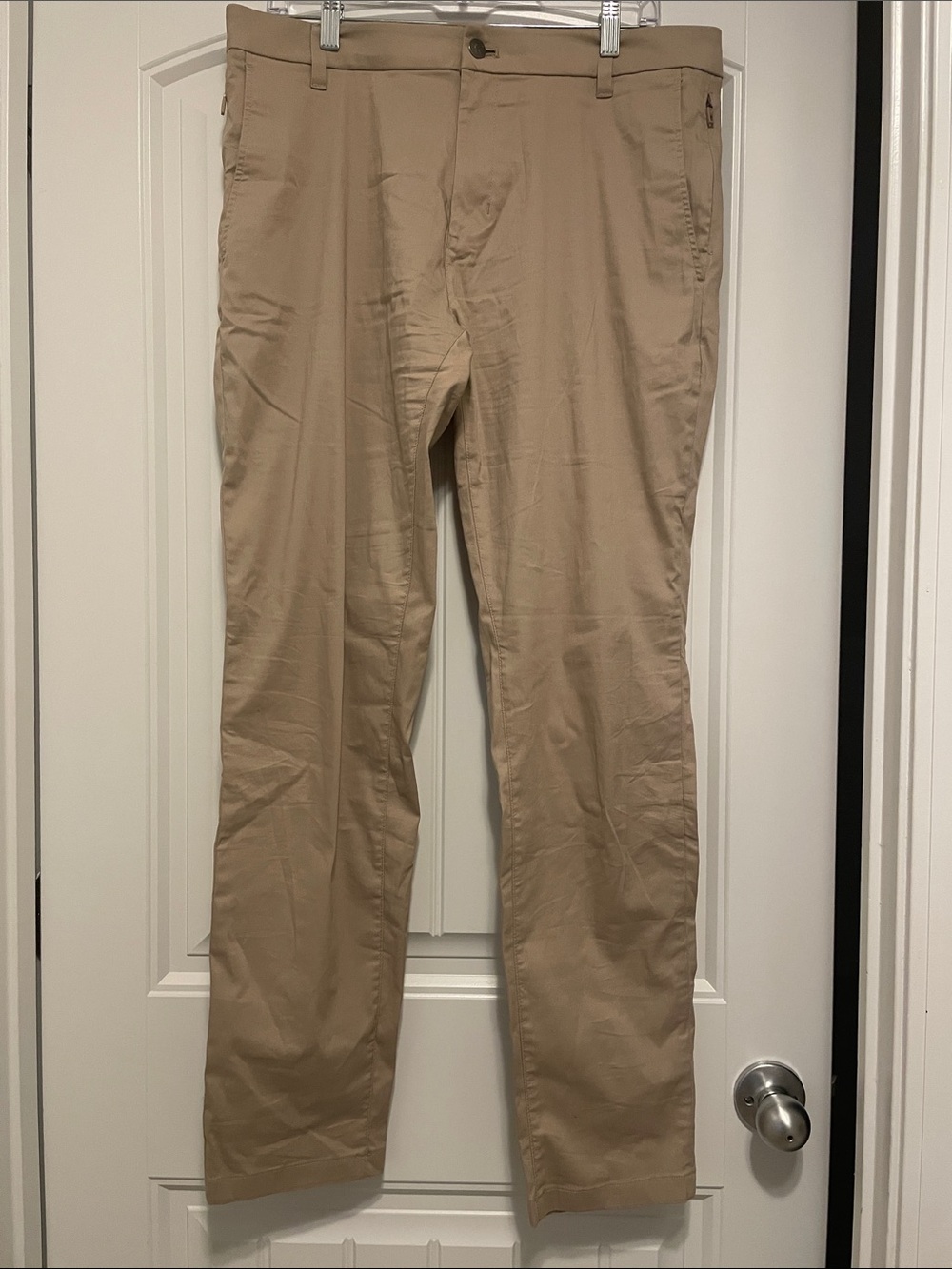 Bird dog’s Khaki Pants